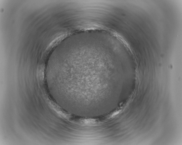 X0000087530501200705112035