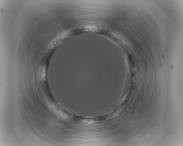 X0000087530502200705112035