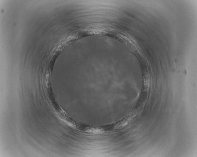 X0000087530503200705112035