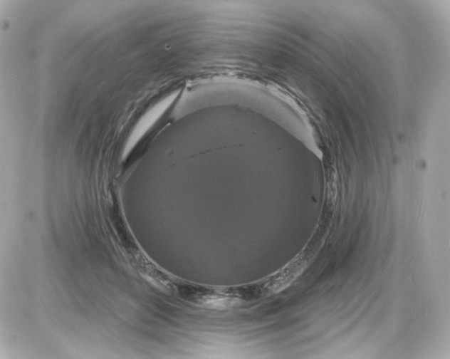 X0000087530504200705112035