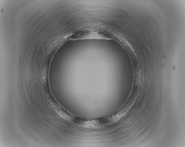 X0000087530505200705112035