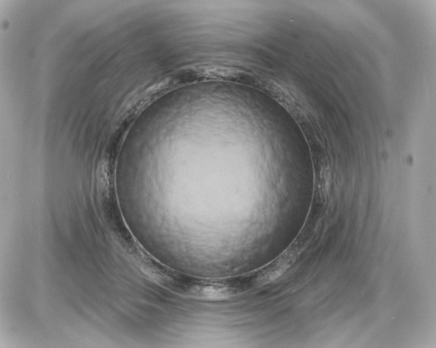 X0000087530506200705112035