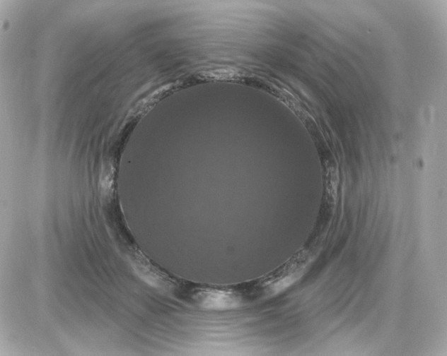 X0000087530507200705112035