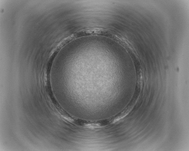 X0000087530508200705112035