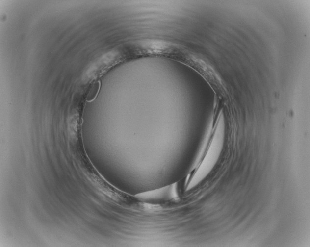 X0000087530509200705112035