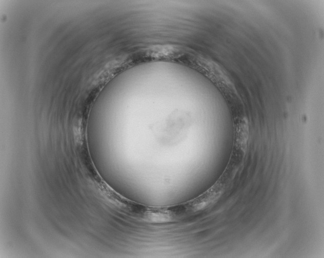 X0000087530510200705112035