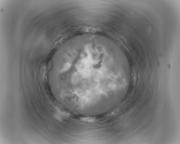 X0000087530511200705112035