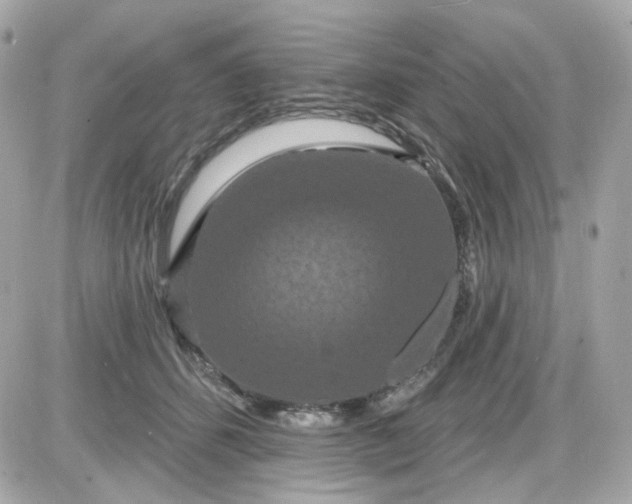 X0000087530512200705112035