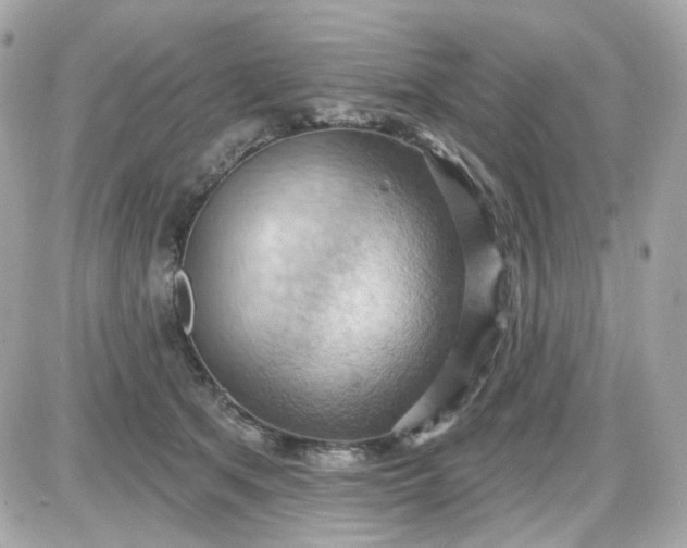 X0000087530513200705112035