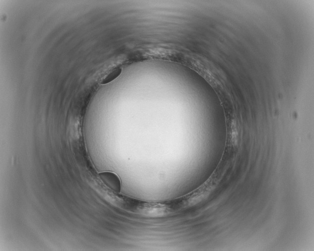 X0000087530514200705112035