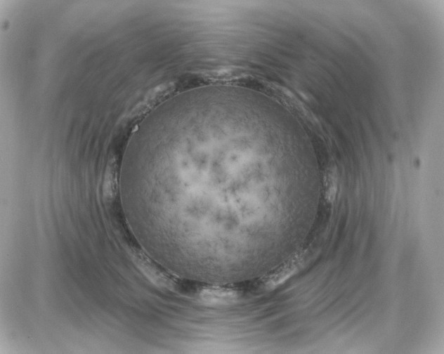 X0000087530515200705112034