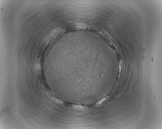 X0000087530516200705112034