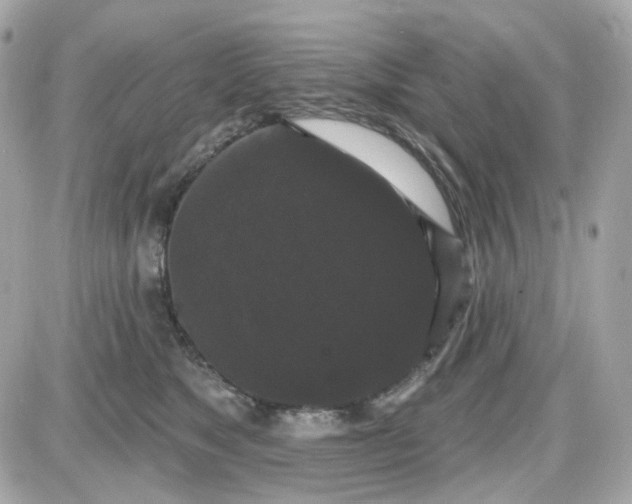 X0000087530517200705112034