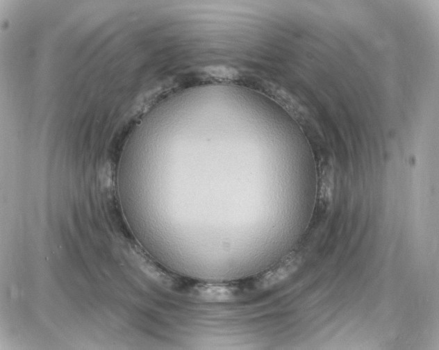 X0000087530518200705112034