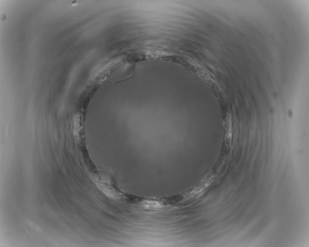 X0000087530519200705112034