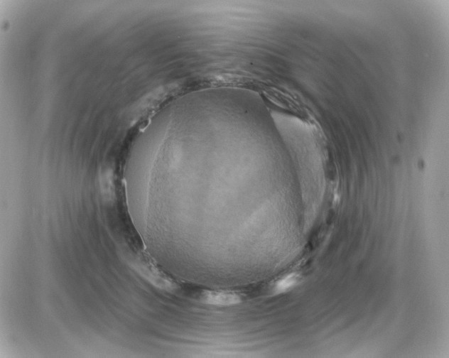 X0000087530520200705112034