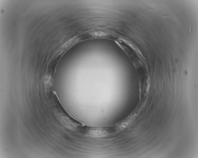 X0000087530521200705112034