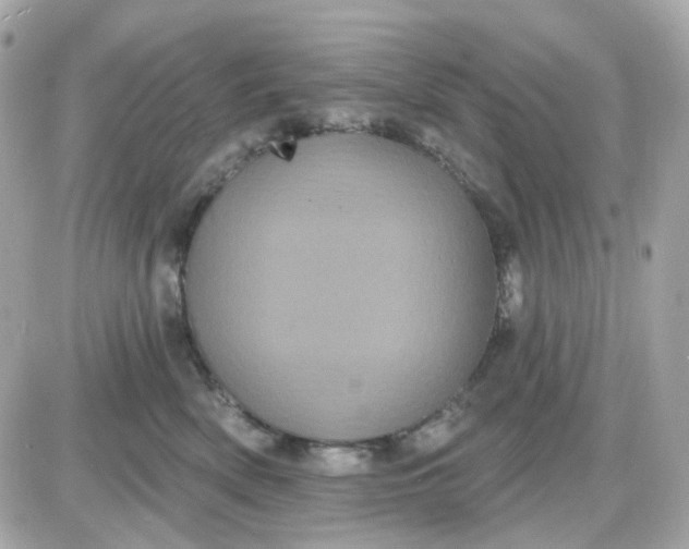 X0000087530522200705112034