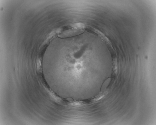 X0000087530523200705112034