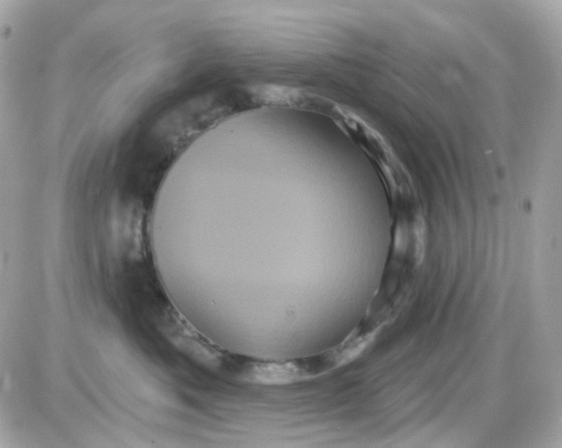 X0000087530525200705112034