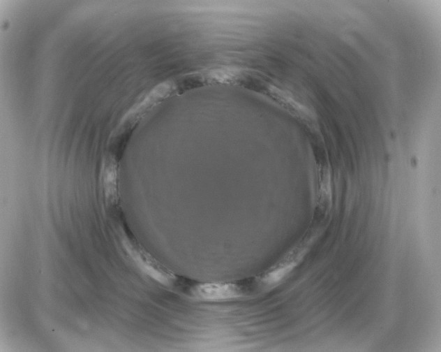 X0000087530526200705112034