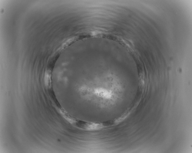 X0000087530527200705112034