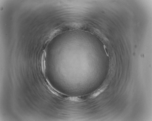 X0000087530528200705112034