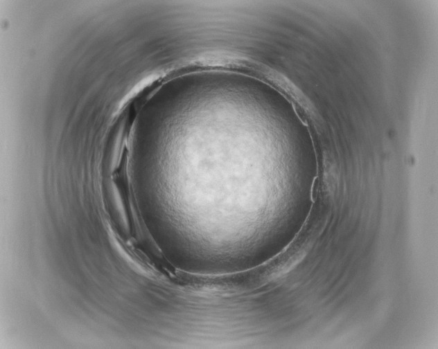 X0000087530530200705112033