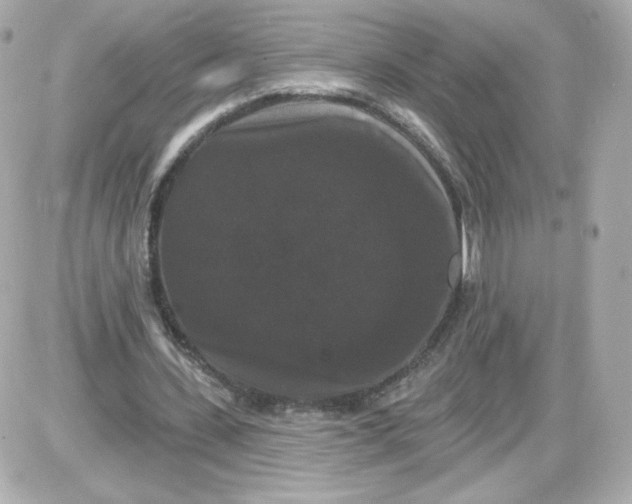 X0000087530531200705112034