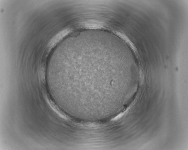 X0000087530533200705112034