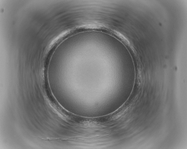 X0000087530535200705112034