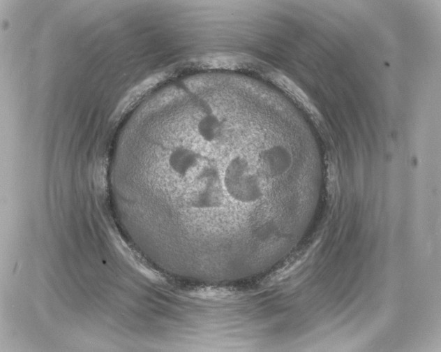 X0000087530537200705112034