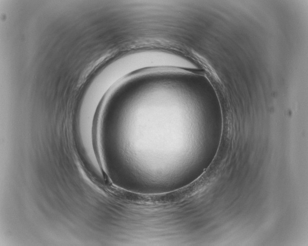 X0000087530538200705112034