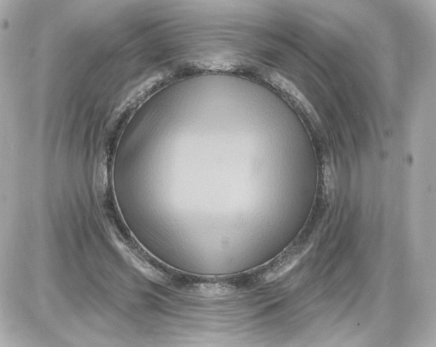 X0000087530541200705112034