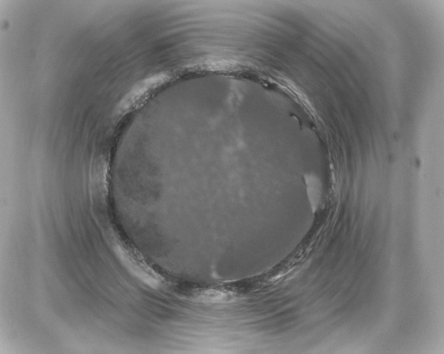 X0000087530542200705112034