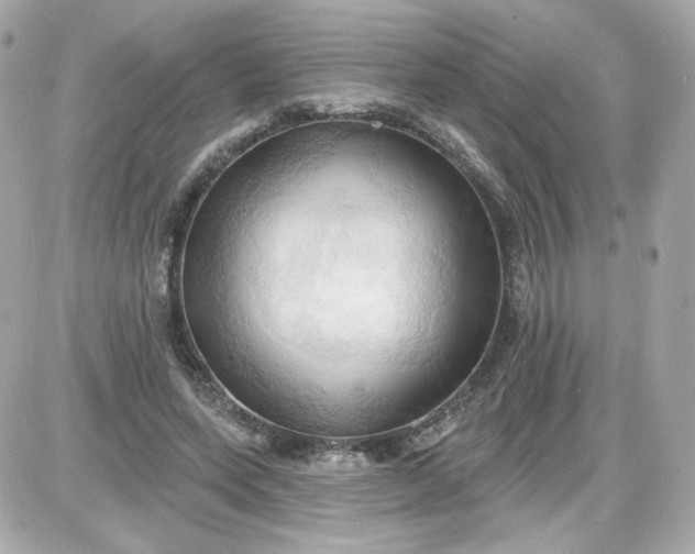 X0000087530543200705112034