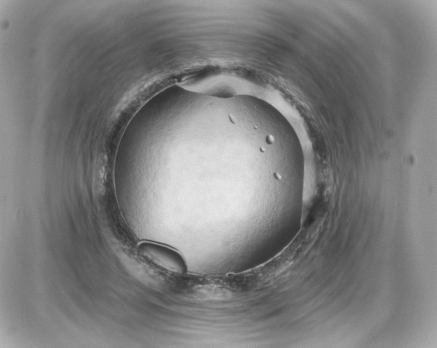 X0000087530544200705112034