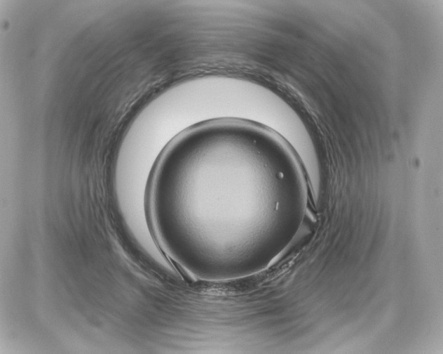 X0000087530546200705112034