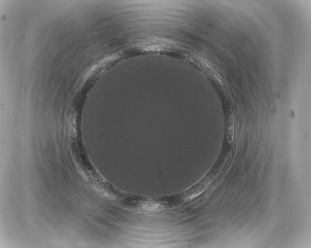 X0000087530547200705112034