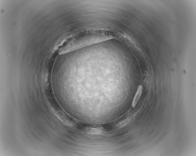 X0000087530548200705112034