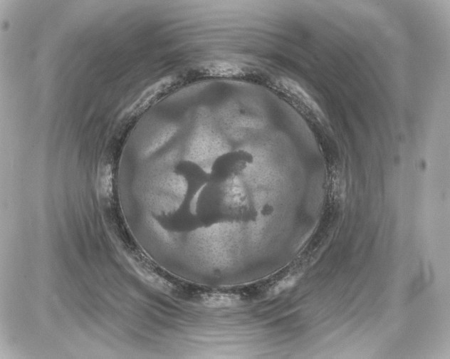 X0000087530549200705112034