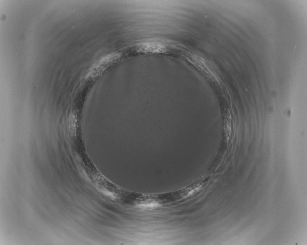 X0000087530551200705112034