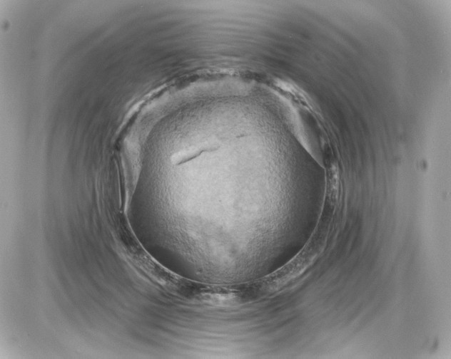 X0000087530552200705112034