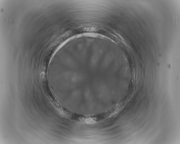 X0000087530553200705112034