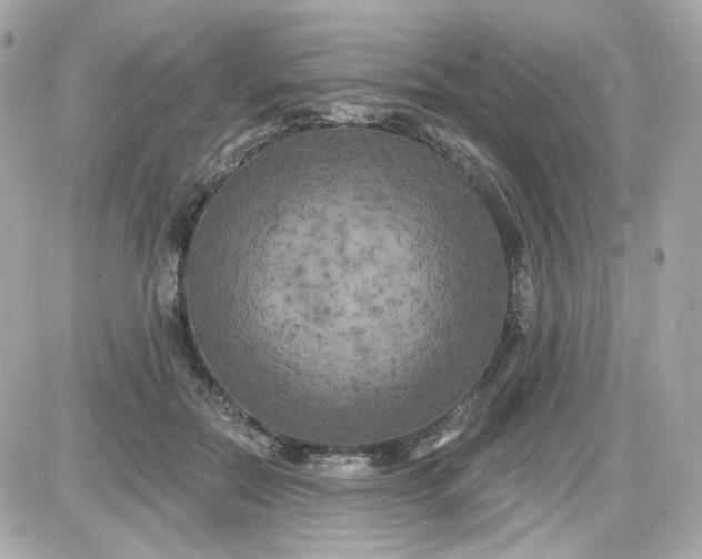 X0000087530554200705112034