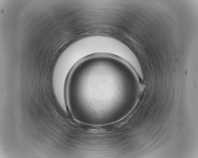 X0000087530556200705112034