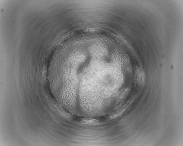 X0000087530557200705112034