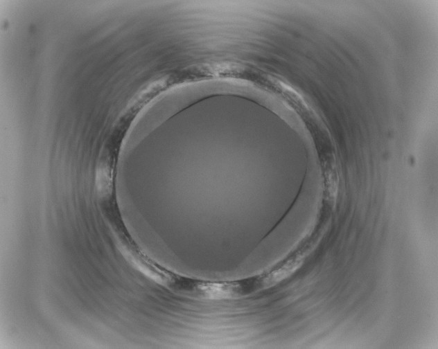 X0000087530558200705112034