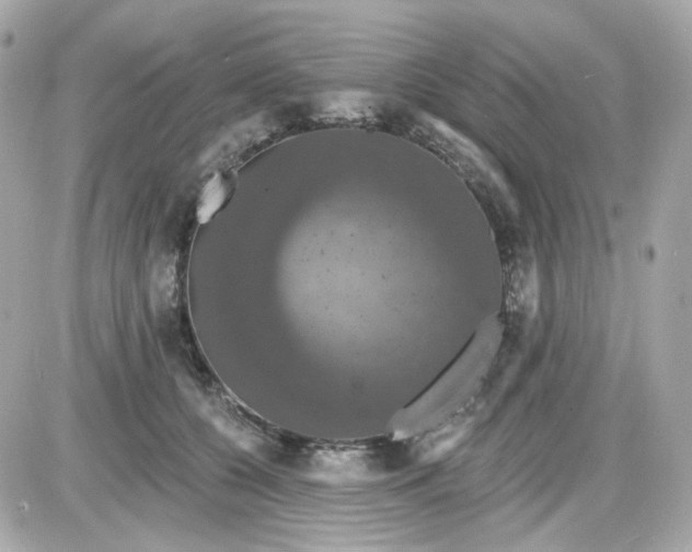 X0000087530560200705112034