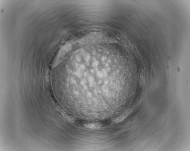 X0000087530561200705112034